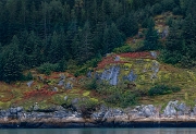 Glacier Bay 4532